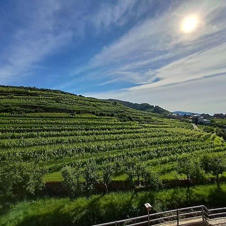 וויסנקירשן אין דר וואכאו Wohnung In Der Wachau מראה חיצוני תמונה
