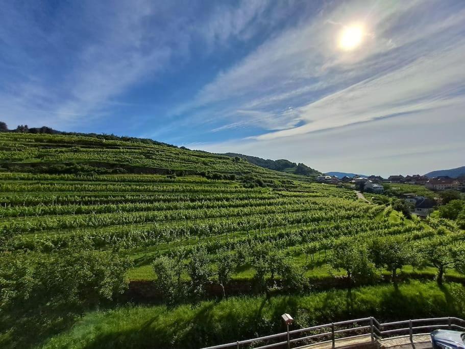 וויסנקירשן אין דר וואכאו Wohnung In Der Wachau מראה חיצוני תמונה